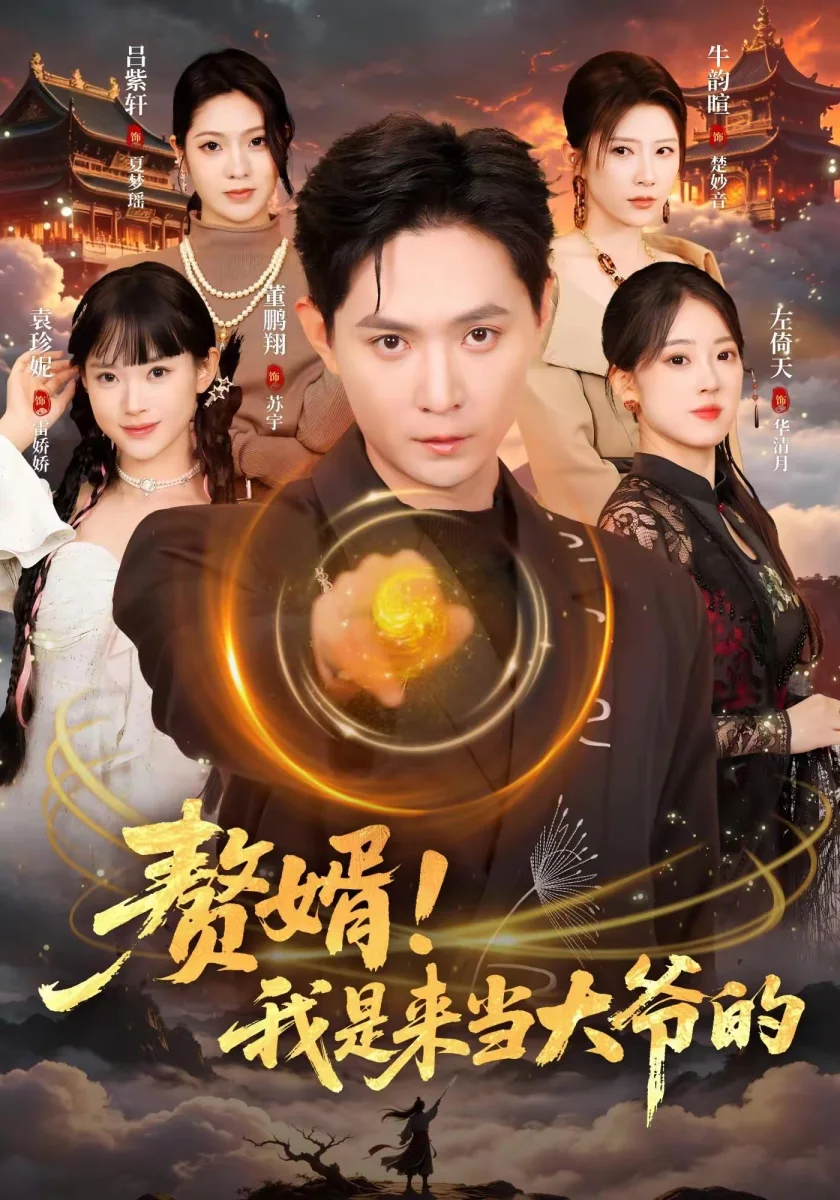 赘婿！我是来当大爷的剧照海报